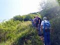 P1290366 (1)